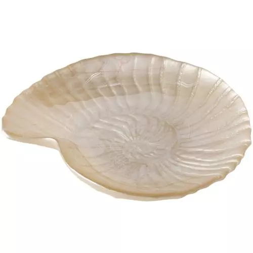 Coupe Zula 18 x 3 cm